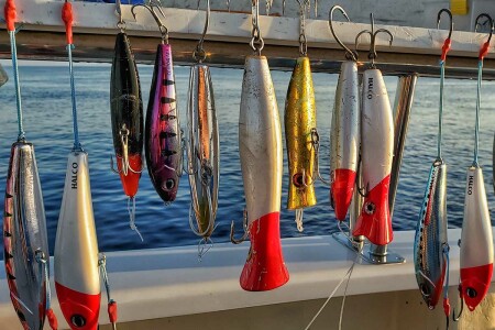 stickbaits and poppers ready for action against big reef predators