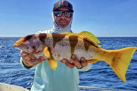 colorful tiger coral trout caught jigging in the Indian Ocean at Rowly Shoals