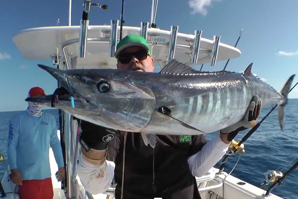 Trolling for Marlin with 6 Heavy Tackle Game Rods - Honolulu, Hawaii 