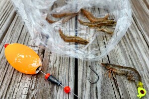 How to Hook Live Shrimp with William Toney fishing course promo poster