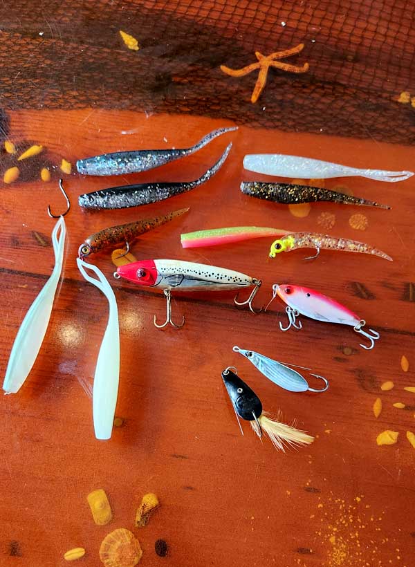 Must Have Florida Inshore Fishing Lures with Captain William Toney In