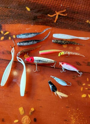 William Toney's must have Florida inshore fishing lures