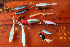Florida Inshore Fishing Lures with William Toney course promo poster