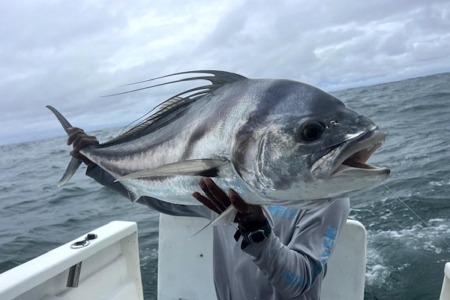 trophy roosterfish costa rica caught by luis salazar