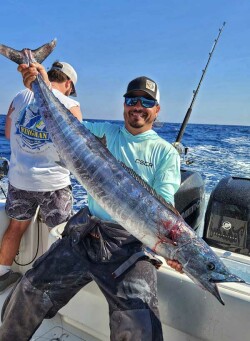 wahoo caught slow trolling dead baits by expert Mike Dupree