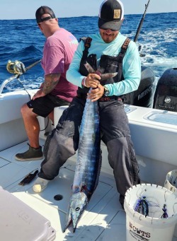 ballyhoo bait rigs from gore offshore