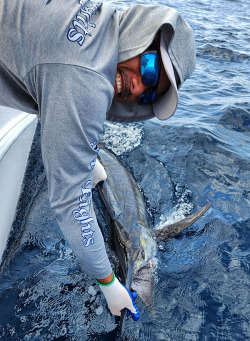 blue marlin jumping out of the water in Costa Rica