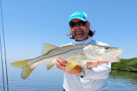 Capt. William Toney with a beautiful snook caught on the falts off the coast of Homosassa Florida