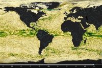 global ocean currents map from Copernicus