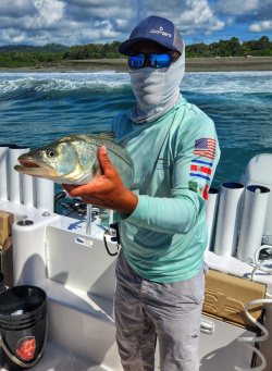 black snook caught in Costa Rica fishing the surf break