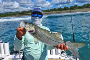 black snook caught in Costa Rica fishing the surf break