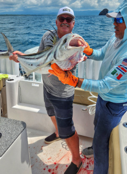 big roosterfish caught in Costa Rica with Colio Sportfishing