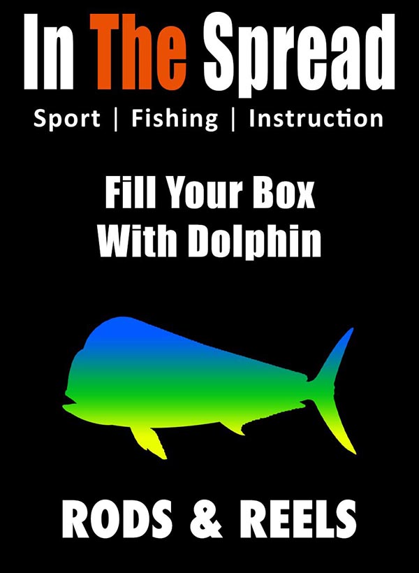 best reel for inshore bottom fishing Best Saltwater Spinning Reels For 2026