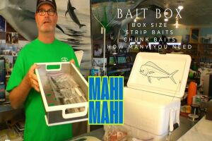bait box for dolphin fishing course promo poster