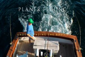 planer fishing basics course promo poster