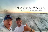 huge outgoing tide in the inlet
