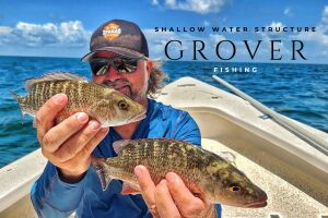 mangrove snapper teeth