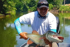 Collins River Muskie Fly Fishing promotional poster