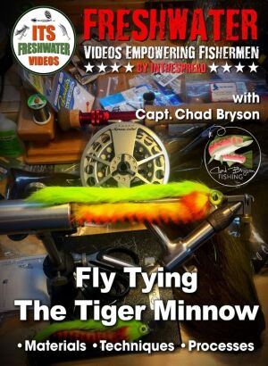 promo poster for course on brown trout fly tying tiger minnow with Chad Bryson