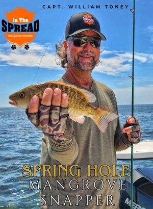 spring hole mangrove snapper caught by William Toney