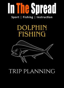 In The Spread: Tips to Fill Your Box with Dolphin