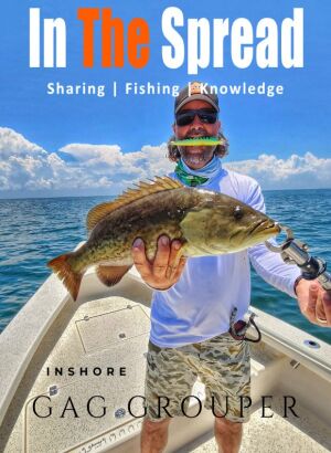 Captain William Toney catching gag grouper in Florida