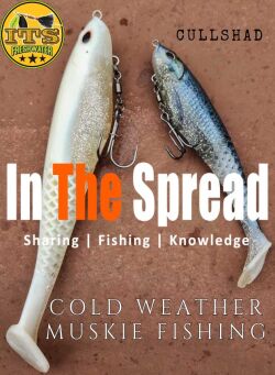 the CullShad from Berkley is perfect for downsized musky fishing presentations