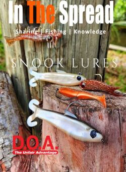 best snook lures from DOA