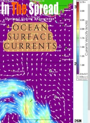 ocean currents satellite map from Hiltons