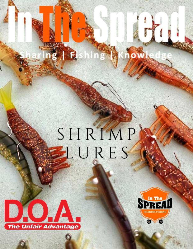 doa lures shrimp bermuda fishing 6" PEARL / Rigged / 1 Pack 3 shrimp and its big brother DOA Lures - Shrimp 2.75"