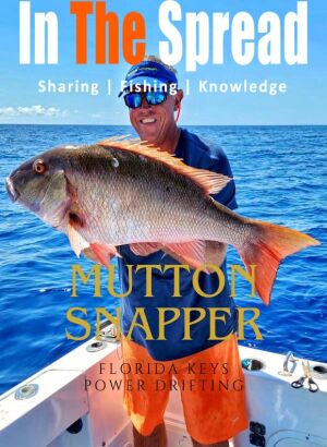 Mutton Snapper Bottom Fishing with Ryan Van Fleet course promo poster