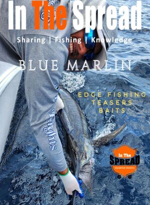Blue Marlin Fishing Teasers and Baits course promo poster