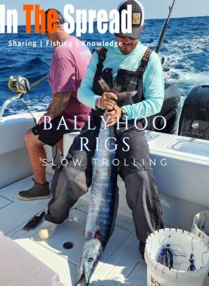 Ballyhoo Bait Rigs for Slow Trolling Wahoo fishing course promo poster