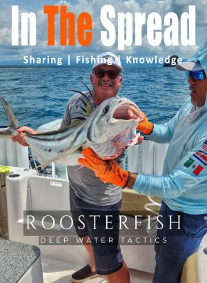 Roosterfish Deep Water Tactics fishing course promo poster