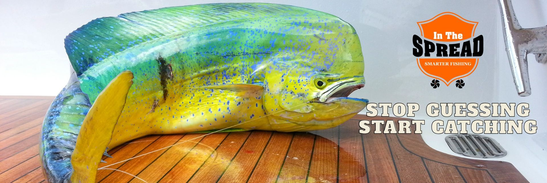 Mahi mahi on the deck of a sportfishing boat