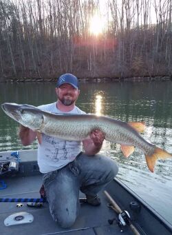 big muskellunge caught on overcast day in Tennessee with Cory Allen