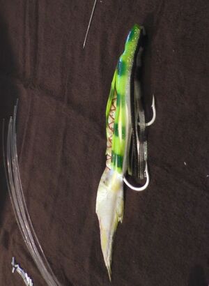 whole squid rigged with double hooks for swordfish bait
