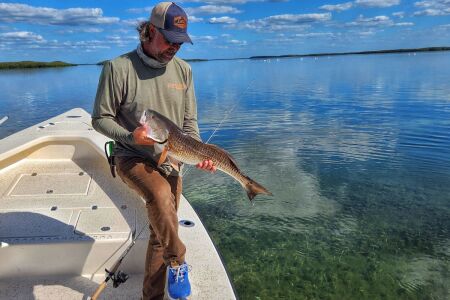 late winter redfish caught with live shrimp rigged on jig head fishing the grass flats of Homosassa