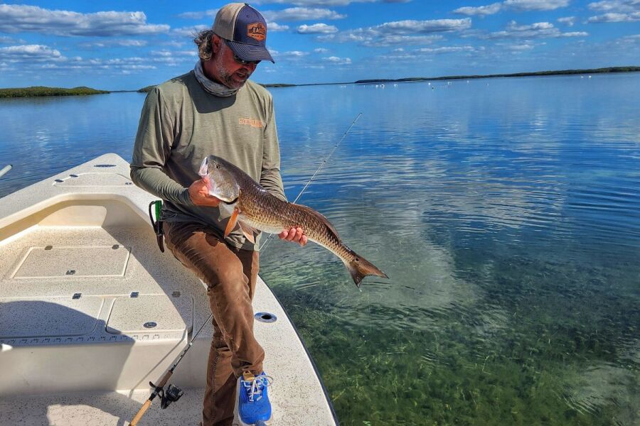 late winter redfish caught with live shrimp rigged on jig head fishing the grass flats of Homosassa