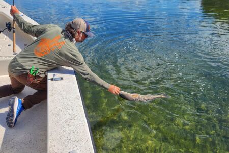 william toney grabbing spring time redfish by the lip to bring into boat