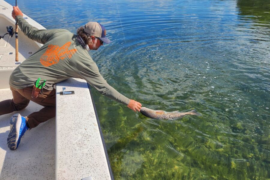 william toney grabbing spring time redfish by the lip to bring into boat