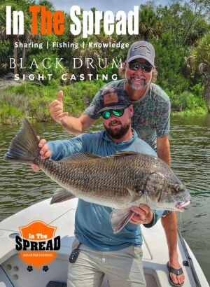 black drum caught sight casting backwater canals on Florida's Nature Coast with Madison MacDonald