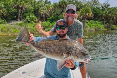 black drum caught sight casting backwater canals on Florida's Nature Coast with Madison MacDonald