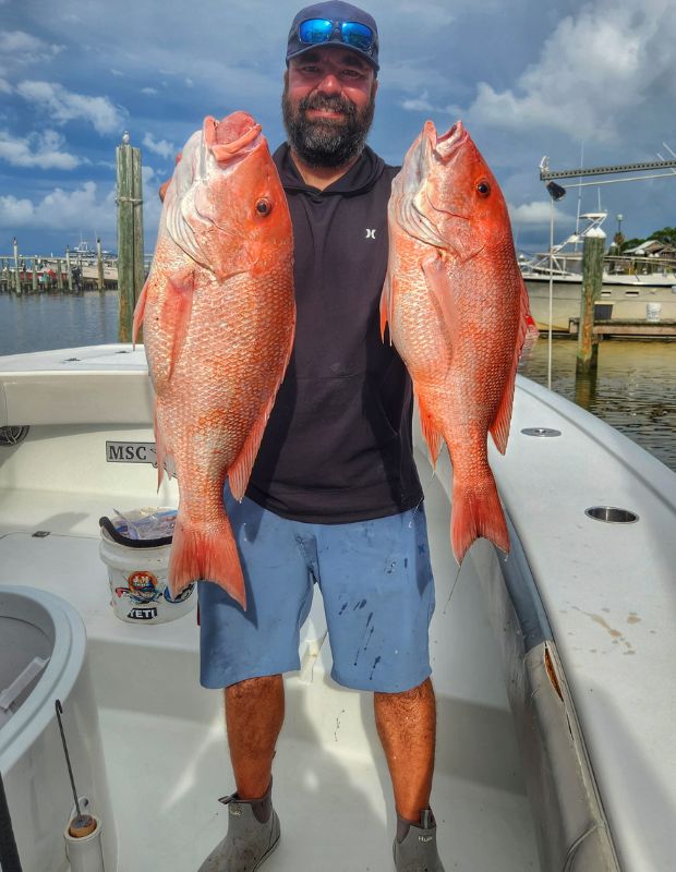Captain Vlad Moldoveanu holding two red snapper caught bottom fishing artificial reefs off Orange Beach, Alabama
