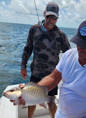 Seth Horne holding a mangrove snapper caught offshore of Homosassa, Florida