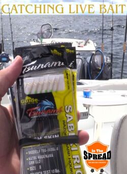 Seth Horne holding the sabiki rigs used to catch hardtails and live bait, with the stern of a Freeman boat behind him